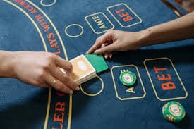 bet casino